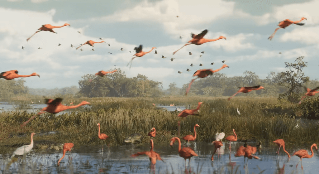 Wildlife