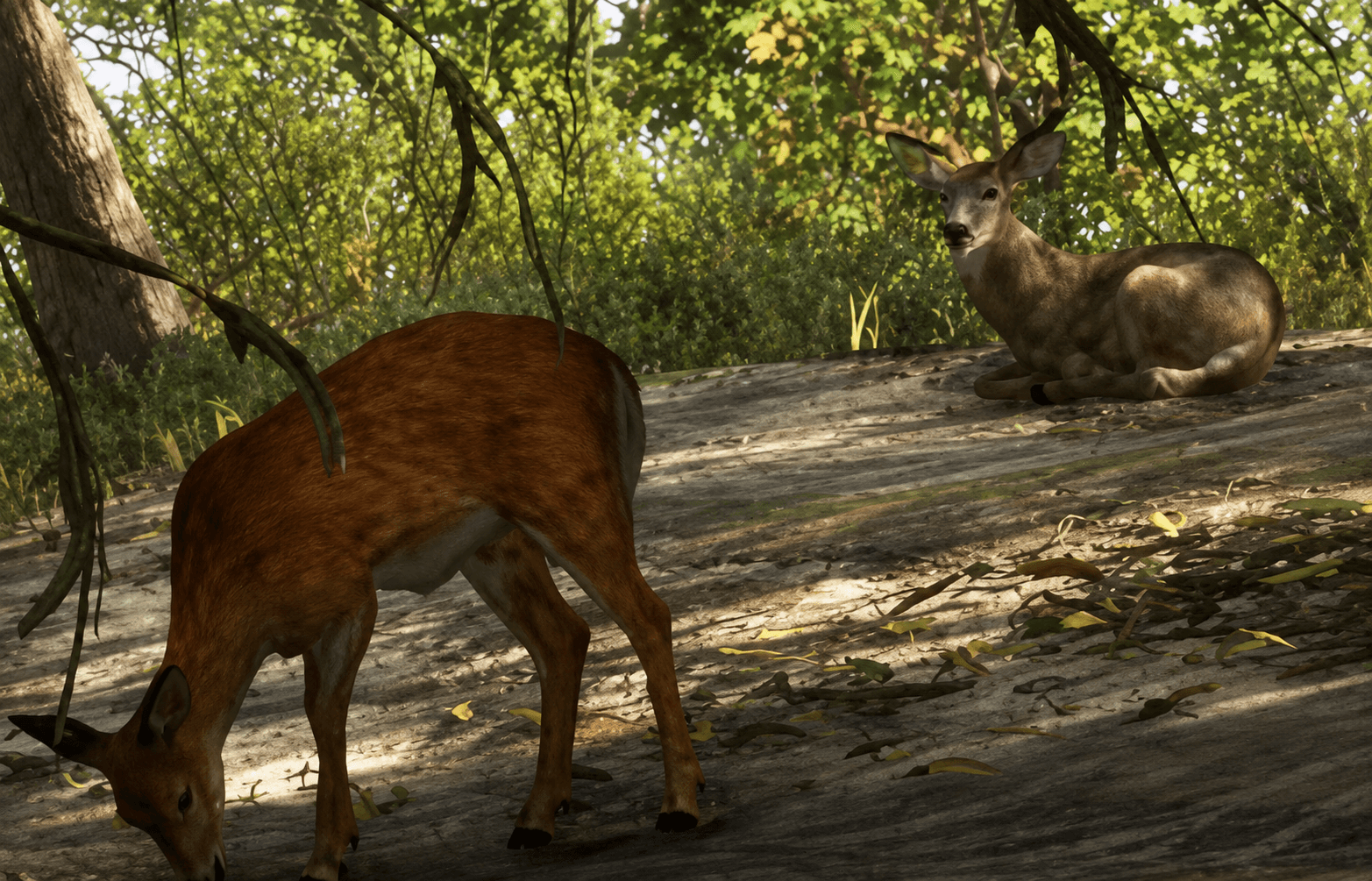 Deer - Land Animal image 1 of 4 in GTA 6