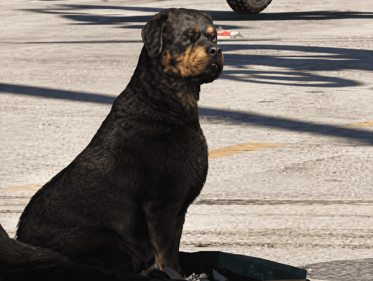 Rottweiler - Land Animal image 1 of 1 in GTA 6