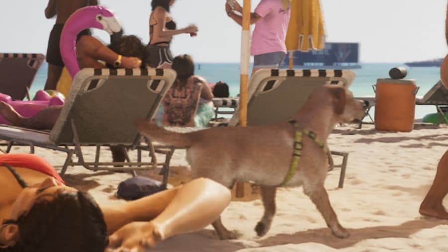 Labrador - Mammal image 1 of 1 in GTA 6