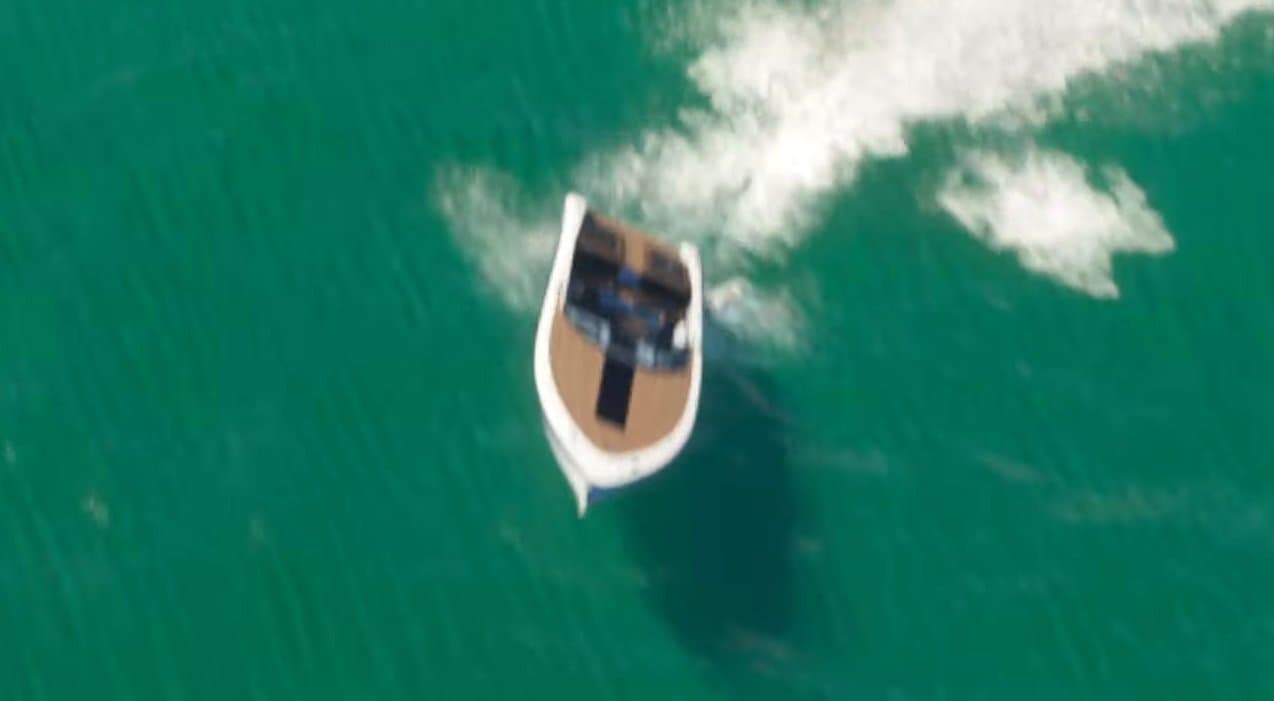 Tropic - Boats image 1 of 25 in GTA 6