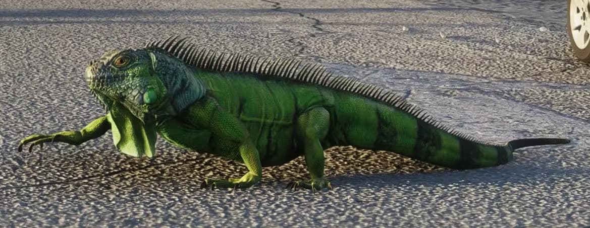 Green Iguana - Land Animal image 1 of 3 in GTA 6