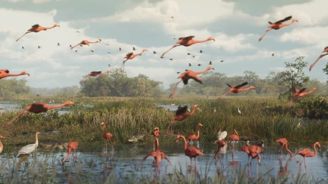 Flamingo Land Animal